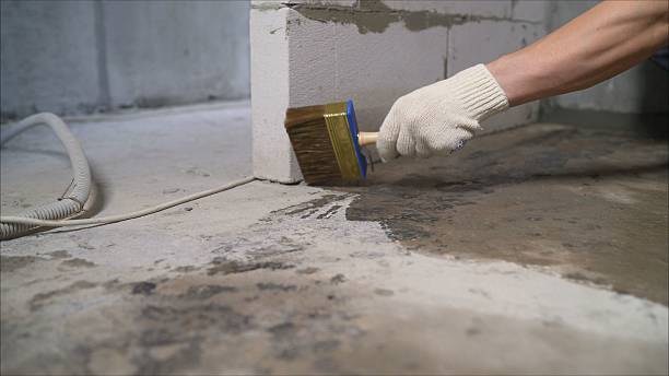 24/7 Emergency Crawl Space Encapsulation experts in Woodridge, IL